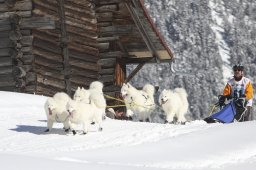 Kandersteg 2013